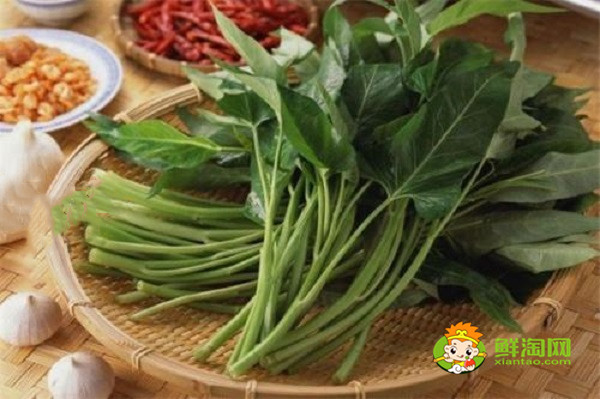 空心菜燙多久能熟，這么做空心菜好吃又好看