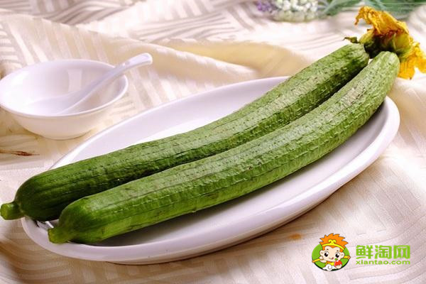 秋天的絲瓜為什么不能吃,絲瓜這樣千萬(wàn)別吃