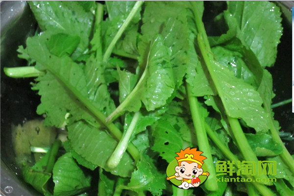 小青菜開水燙過能隔夜嗎，開水燙青菜有營養(yǎng)嗎