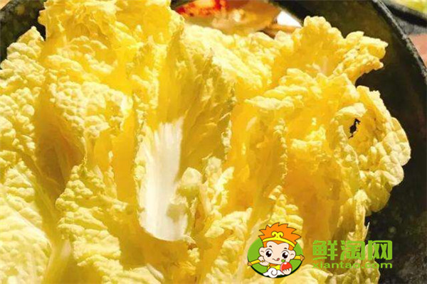 娃娃菜怎么存放時間長,娃娃菜常溫能放多久