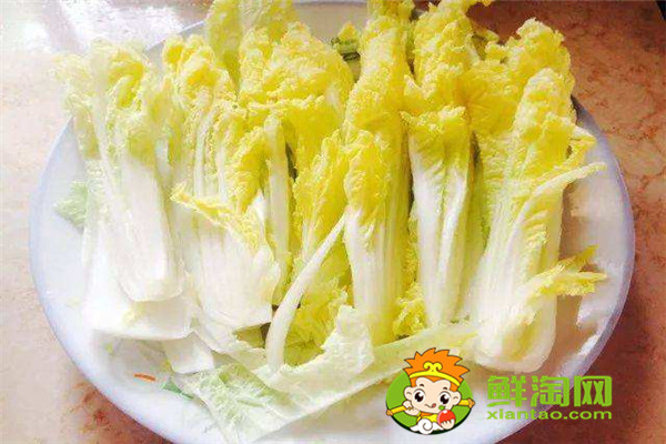 娃娃菜怎么存放時間長，娃娃菜常溫能放多久