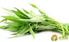 空心菜怎么擇菜，空心菜為什么不用