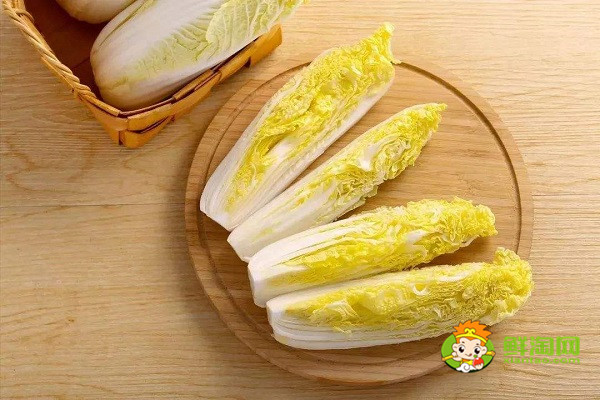 娃娃菜能放冰箱嗎,娃娃菜保鮮的小妙招