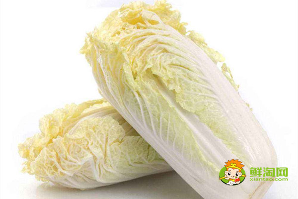 娃娃菜是白菜嗎,兩者的區(qū)別非常明顯