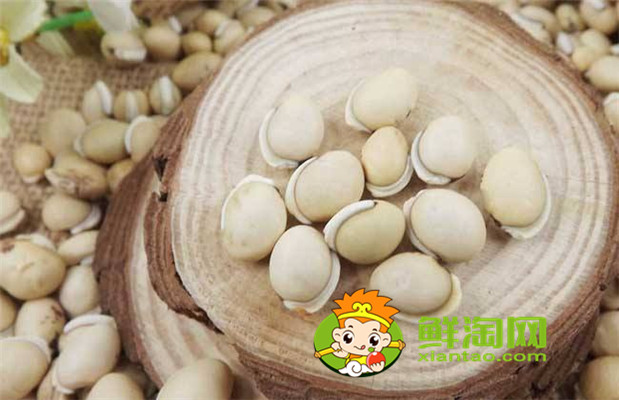 哪里出產(chǎn)的白扁豆最好，白扁豆怎么吃才祛濕