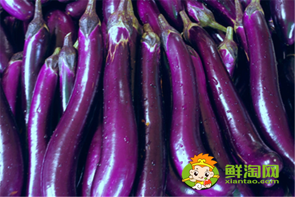 茄子怎么洗才干凈,茄子應該怎么挑選