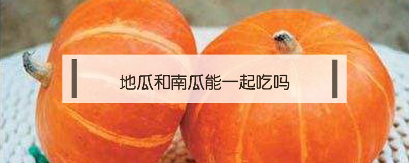 地瓜和南瓜能一起吃嗎