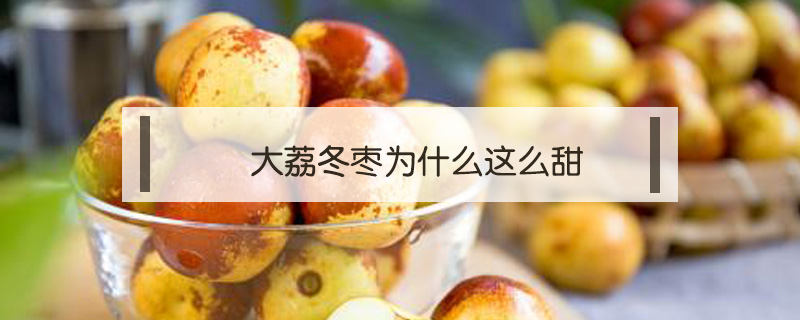 大荔冬棗為什么這么甜