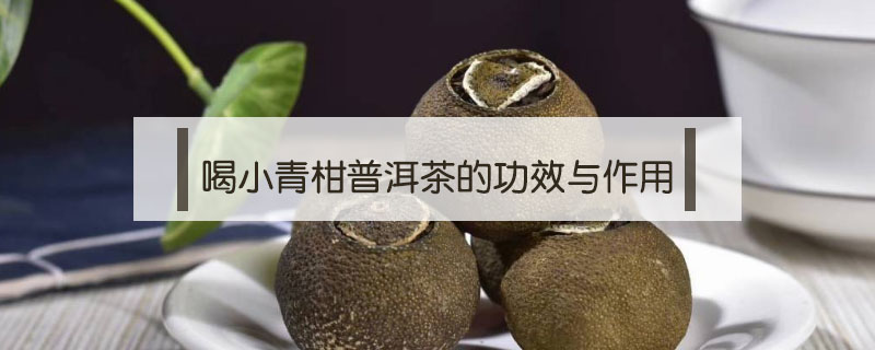 喝小青柑普洱茶的功效與作用