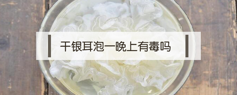 干銀耳泡一晚上有毒嗎