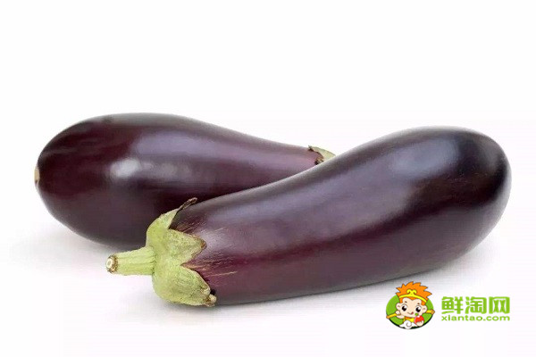 茄子是什么時候傳入中國的,原來早在這個時候就有茄子了