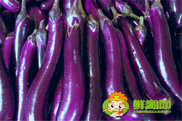 茄子是什么季節的,秋茄子能吃嗎