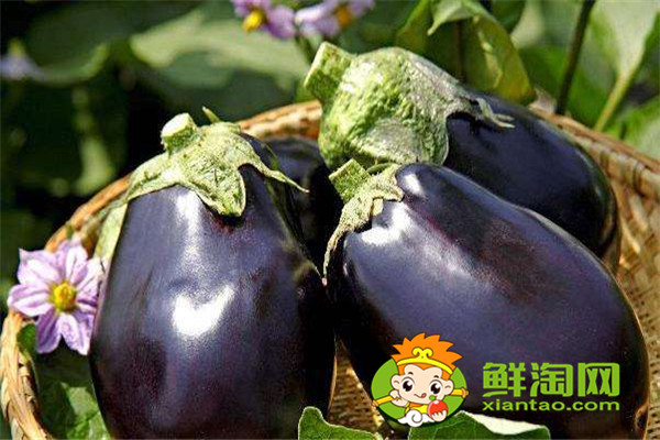 微波爐烤茄子然后再紅燒可以嗎，紅燒茄子最簡單的做法