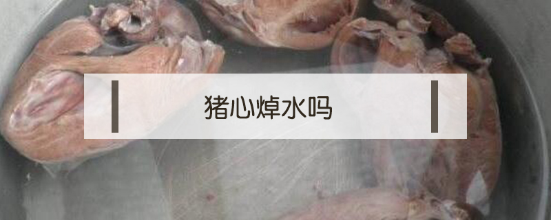 豬心焯水嗎