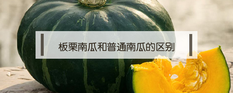 板栗南瓜和普通南瓜的區(qū)別