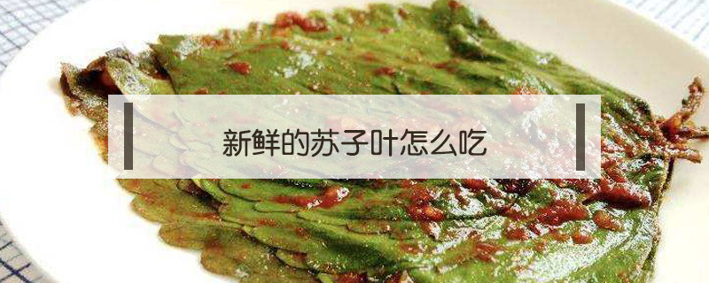 新鮮的蘇子葉怎么吃