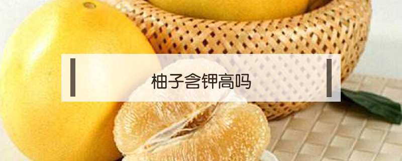 柚子含鉀高嗎