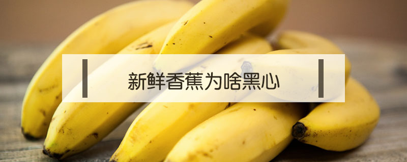 新鮮香蕉為啥黑心