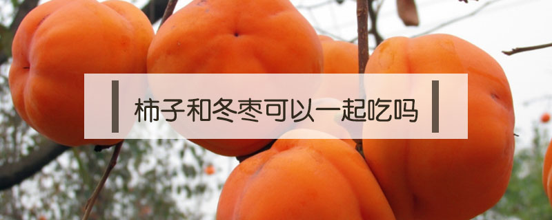 柿子和冬棗可以一起吃嗎