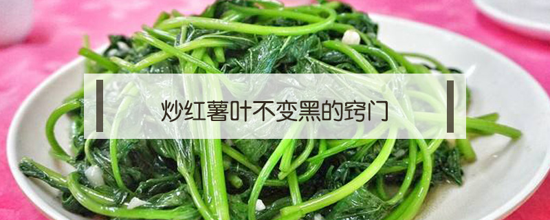 炒紅薯葉不變黑的竅門