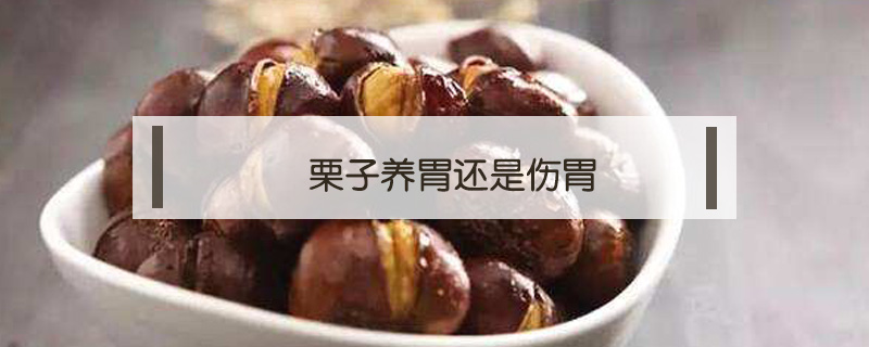 栗子養胃還是傷胃