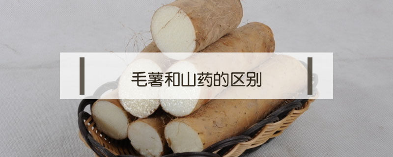 毛薯和山藥的區別