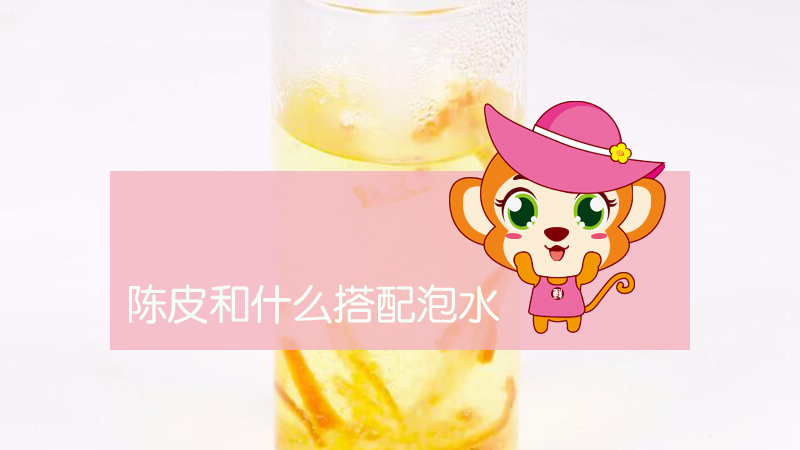 陳皮和什么搭配泡水