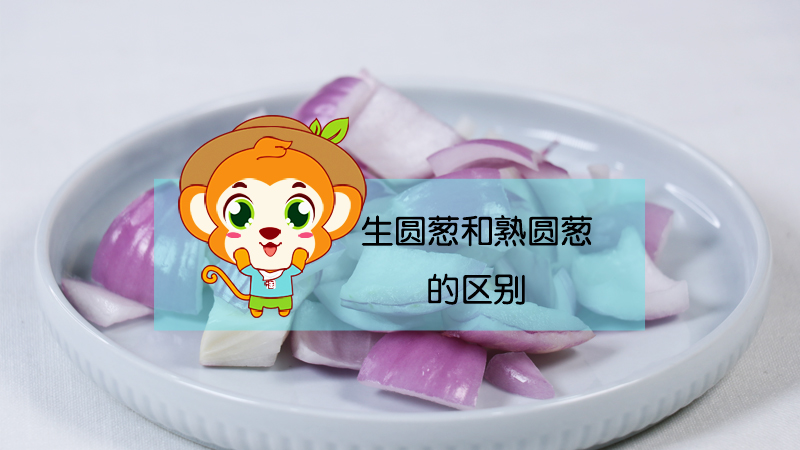 生圓蔥和熟圓蔥的區別