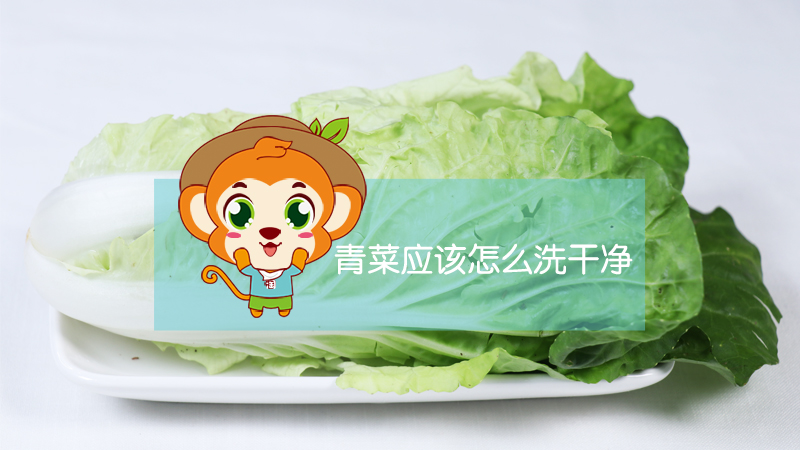 青菜應該怎么洗干凈