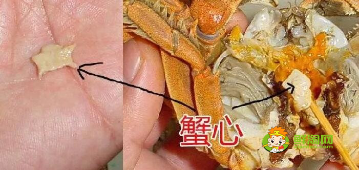 螃蟹怎么吃圖解，螃蟹哪里不能吃高清圖