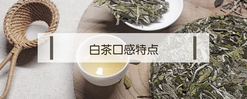 白茶口感特點
