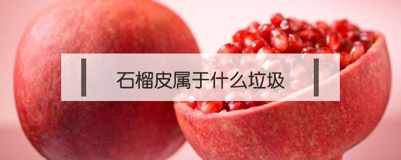 石榴皮屬于什么垃圾