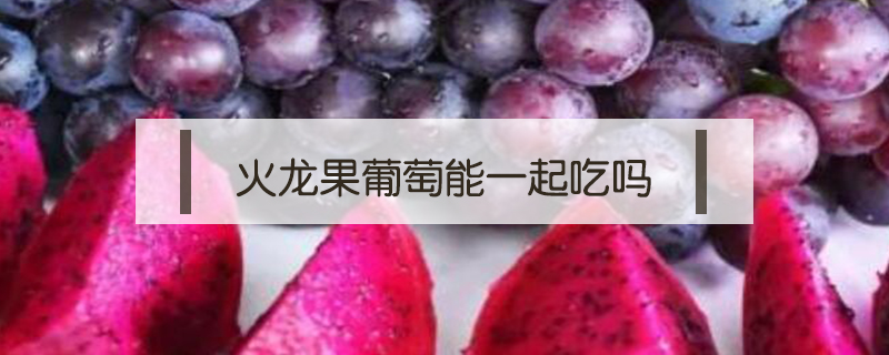 火龍果葡萄能一起吃嗎