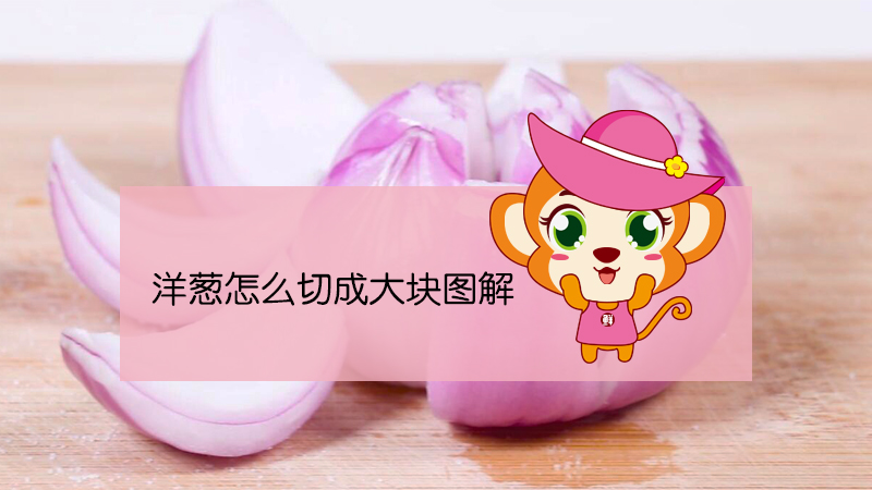 洋蔥怎么切成大塊圖解
