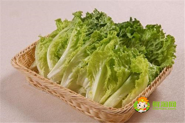 十種刮油食物越吃越瘦，膳食纖維等物質豐富的食物可以起到很好的減肥瘦身作用