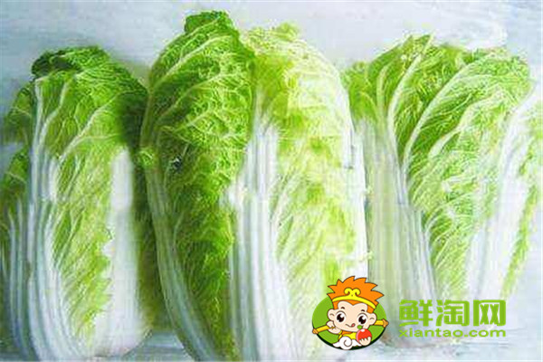 大白菜的營(yíng)養(yǎng)價(jià)值及功效,怎么挑選新鮮大白菜