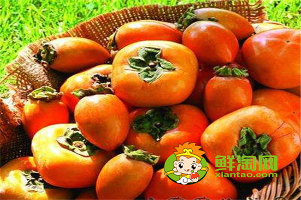 吃柿子有哪些禁忌和好處，哪些人不能吃柿子