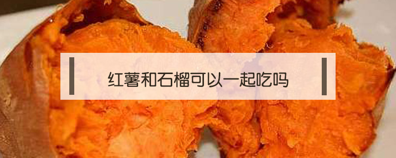 紅薯和石榴可以一起吃嗎