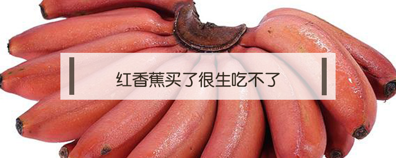 紅香蕉買(mǎi)了很生吃不了