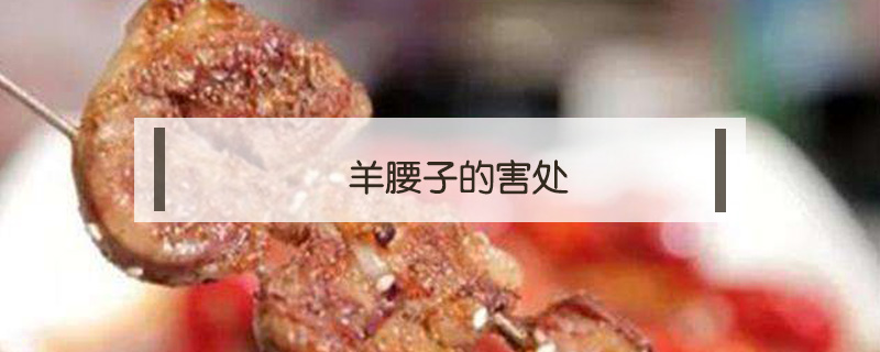 羊腰子的害處