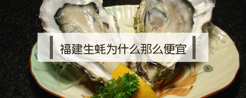 福建生蠔為什么那么便宜
