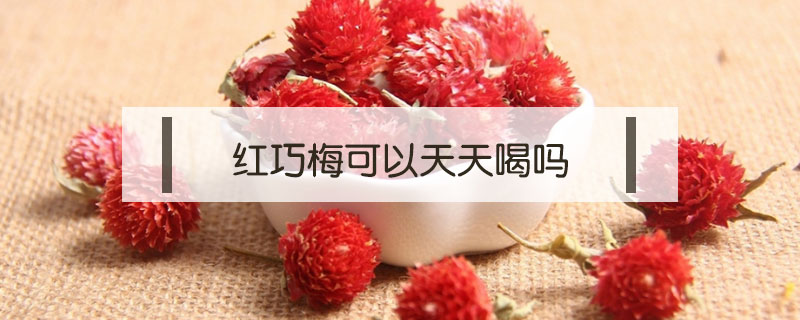 紅巧梅可以天天喝嗎