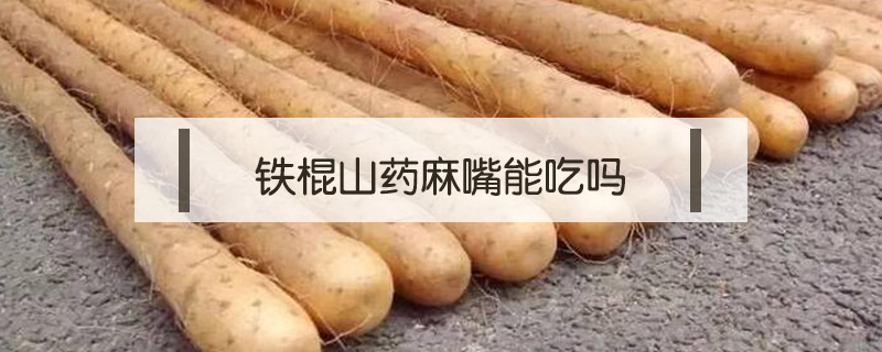 鐵棍山藥麻嘴能吃嗎