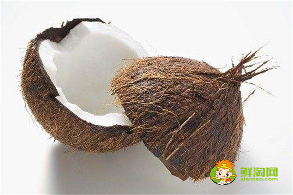 海南椰子和泰國椰子的區別，椰子什么時候成熟