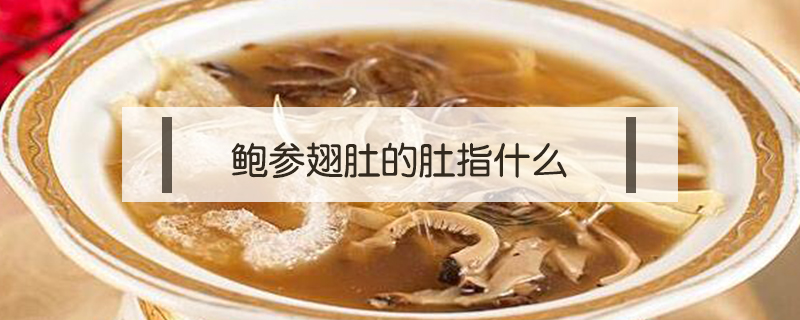 鮑參翅肚的肚指什么