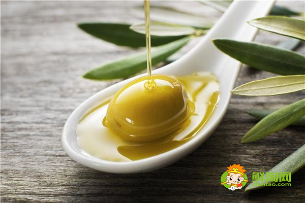 橄欖油的價格，橄欖油的好處