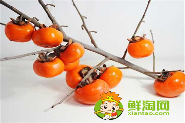 柿子的熱量，柿子吃多了會發(fā)胖嗎