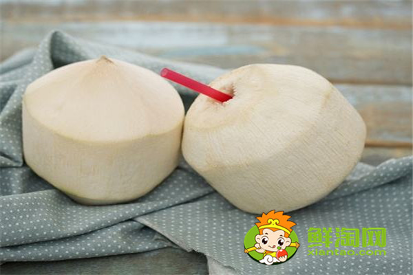 毛椰子和青椰子的區(qū)別，怎么挑選椰子