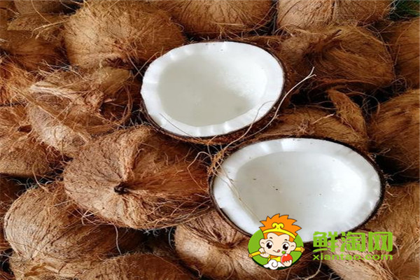 經常喝椰子水好不好，椰肉煮湯好嗎