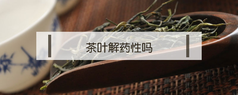 茶葉解藥性嗎